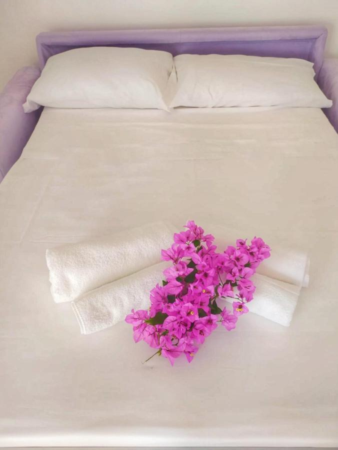 B&B Villa La Bouganville 카마이오레 외부 사진