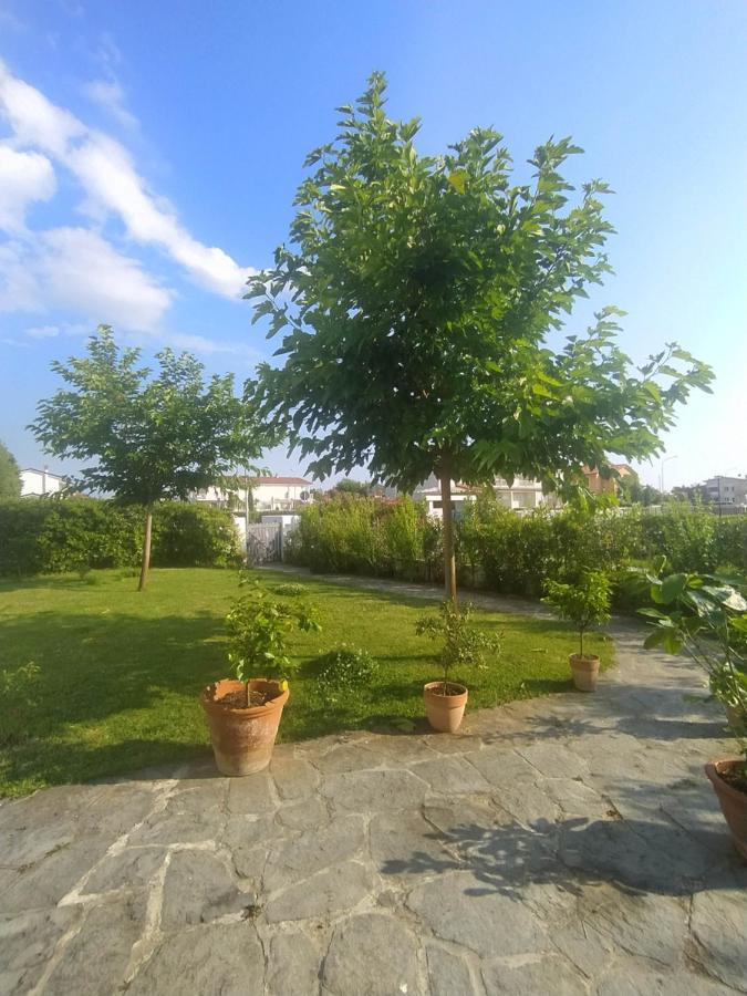 B&B Villa La Bouganville 카마이오레 외부 사진