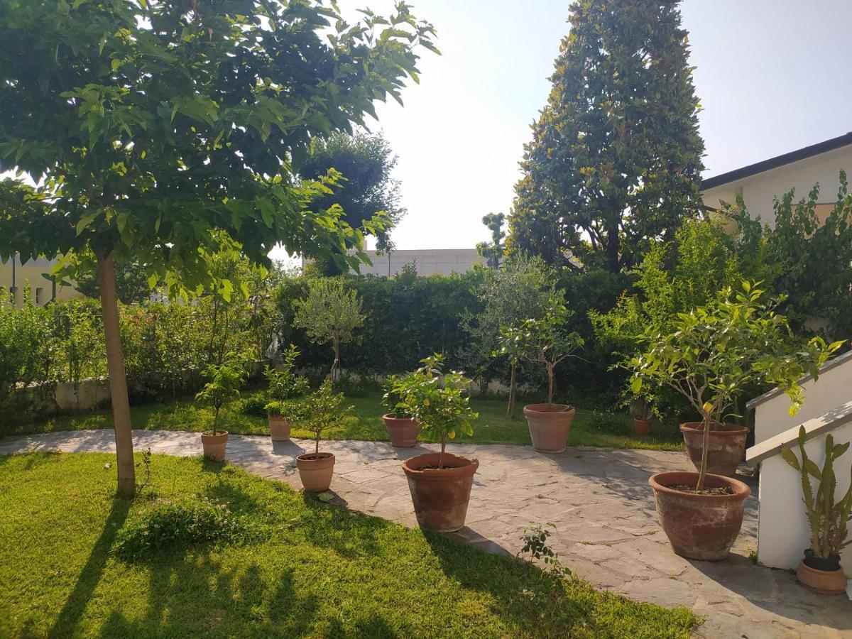 B&B Villa La Bouganville 카마이오레 외부 사진