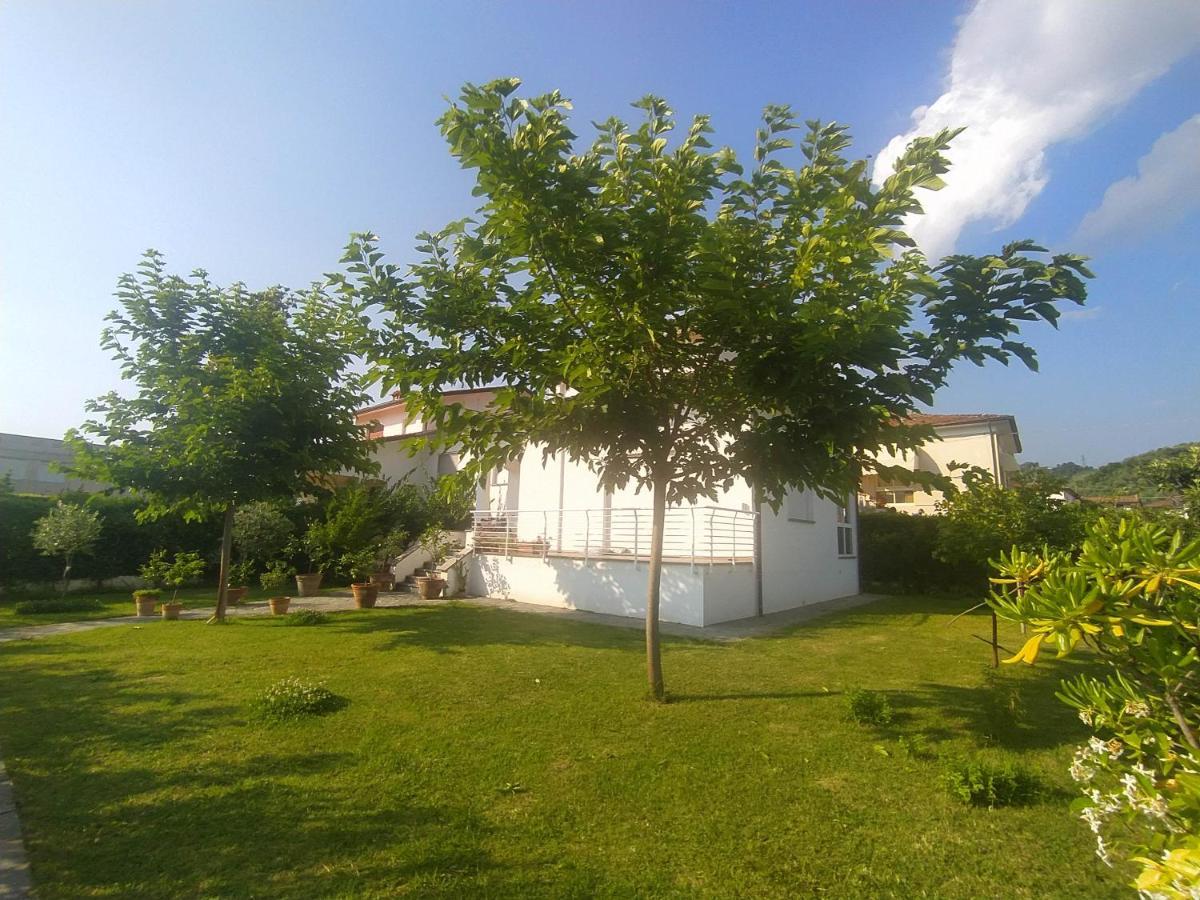 B&B Villa La Bouganville 카마이오레 외부 사진