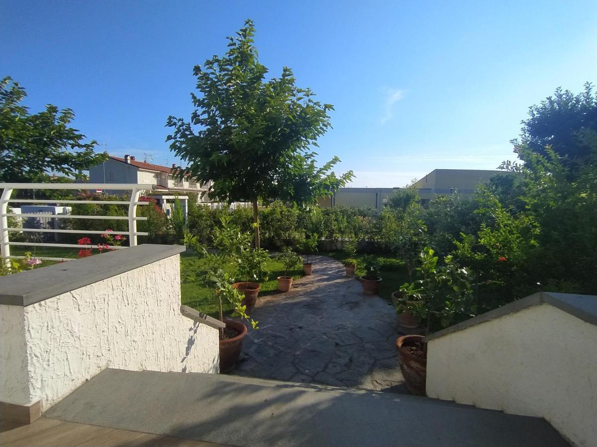 B&B Villa La Bouganville 카마이오레 외부 사진