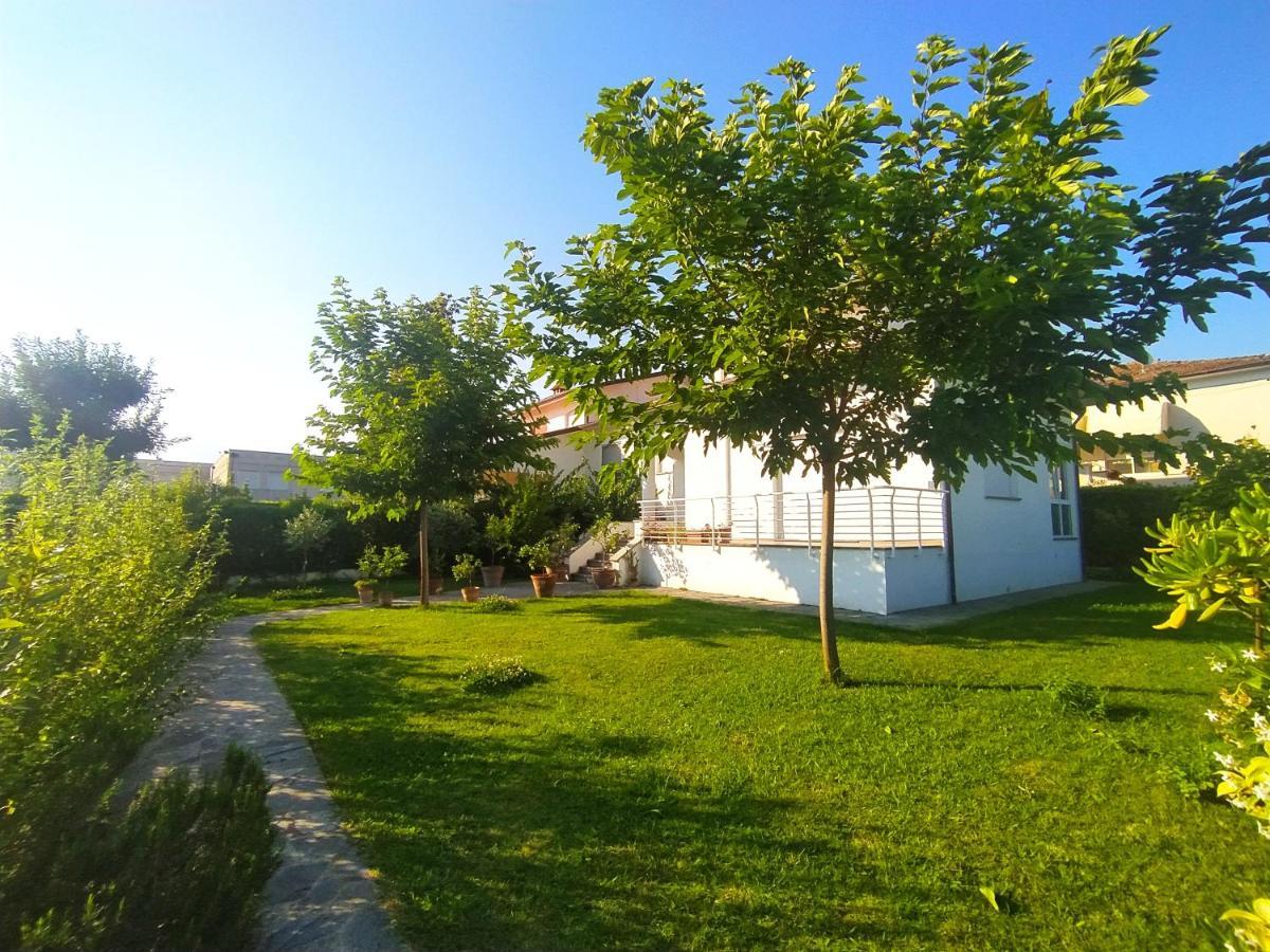 B&B Villa La Bouganville 카마이오레 외부 사진