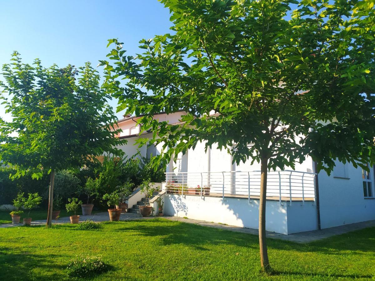 B&B Villa La Bouganville 카마이오레 외부 사진